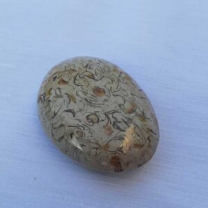 Schelpen jaspis - ovale handsteen