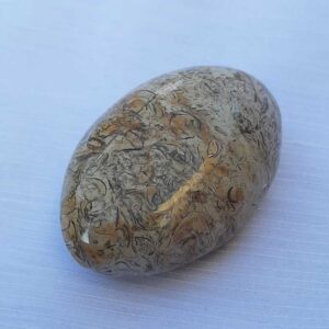 Schelpen jaspis - ovale handsteen