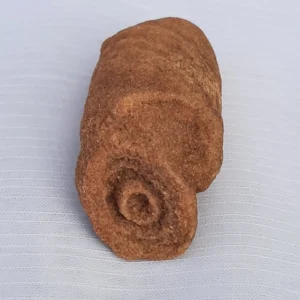 woestijnbarietbloem - knolvormig