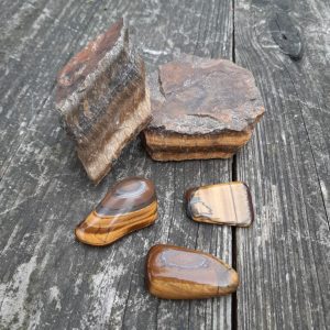 Tijgeroog