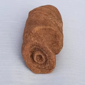 Woestijnbarietbloem - knolvormig